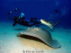Servemar X, Recife-PE, Brasil. by Edson Acioli 
